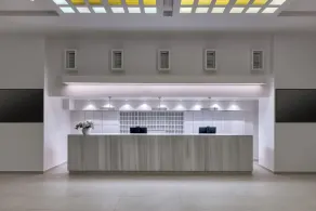 Mercure Patras Astir - Resepsjon