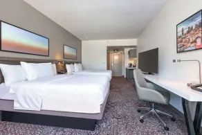 Hilton Garden Inn Dallas/Arlington - Chambre
