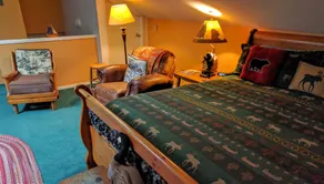 Ann Arbor Bed and Breakfast - Chambre