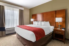 Comfort Suites Florence I-95 - Chambre