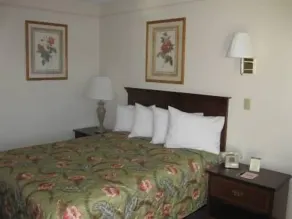 Sunrise Inn - Chambre