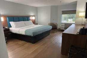 Wingate by Wyndham Macon I-475 - Chambre