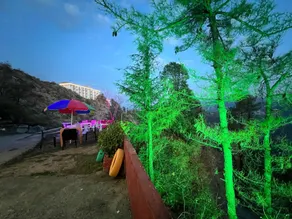 Pankaj homestay - Restaurant