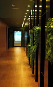 Novotel Puerto Montt - Reception