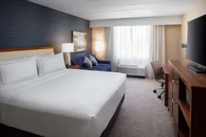 DoubleTree by Hilton Ann Arbor North - Chambre