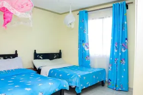 Blossom Apartment - Room