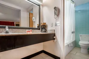 Econo Lodge Cortland Downtown - Salle de bain