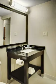 Comfort Inn Val D'Or - Salle de bain
