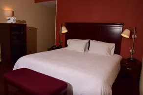 Hampton Inn Indiana - Chambre