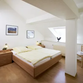 Traberhof - Landurlaub in seiner schönsten Form - freies Reiten inbegriffen - Hunde willkommen - Sauna im Haus - Kanuverleih - tolle Radwege - Deich in Sichtweite - Room