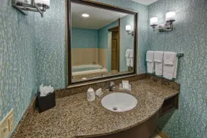Hilton Garden Inn Tulsa Midtown - Badeværelse