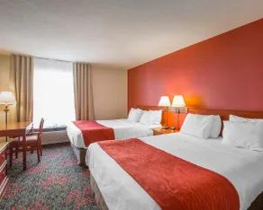 Comfort Inn & Suites University - Room