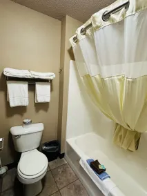 De Smet Super Deluxe Inn & suites - Badeværelse