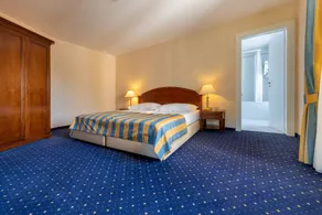 Grand Hotel et Centre Thermal d'Yverdon-les-Bains - Room