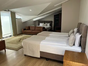 The Elegant Hotel - View from room