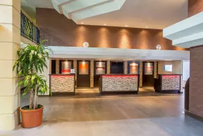 Embassy Suites by Hilton Piscataway Somerset - Réception