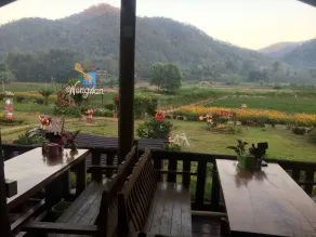 Wongwan Farm - Restaurant