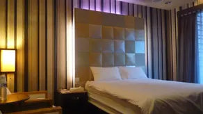 51 Spring - Zimmer