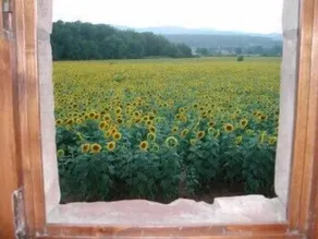 Casale il Colombaio di Toiano - Vistas desde la habitación