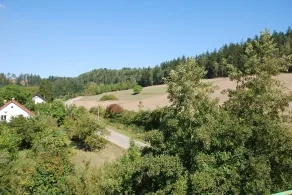 Hotel Dirsch Wellness & Spa Resort - Ausblick vom Zimmer