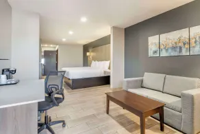 Best Western Plus Edinburg Inn & Suites - Chambre