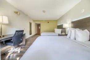 Baymont by Wyndham Orlando-International Dr-Universal Blvd - Room