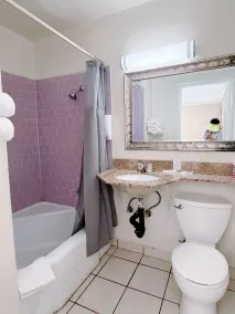 Royal Inn and Suites - Badezimmer