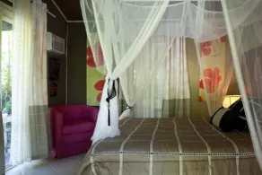 La Tropicale - Camera