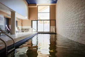 Renaissance Aix-en-Provence Hotel - Basseng