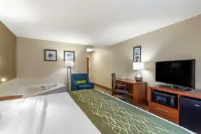 Comfort Inn & Suites - near Robins Air Force Base Main Gate - Chambre