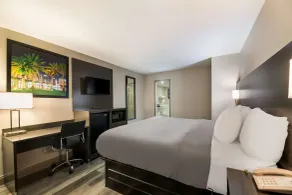 Quality Inn & Suites Altamonte Springs Orlando-North - Room