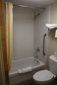 Economy Inn - Statesville - Salle de bain