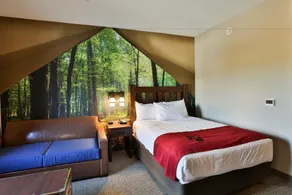 Great Wolf Lodge Atlanta / LaGrange, GA - Chambre