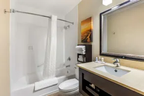 Comfort Inn San Diego Old Town - Bathroom