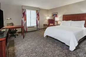 Hilton Garden Inn Blacksburg University - Chambre