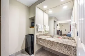 Econo Lodge Inn & Suites Huntsville University Area - Baño