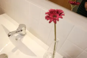 Cal Metge de Gualba - Baño