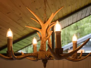 Pine Tree - Intérieur
