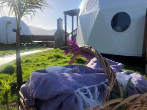 Soul Glamping -Luxury -Jacuzzi - Spisning på værelset