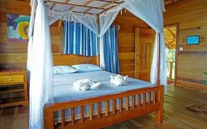Tree House Bungalows - Room