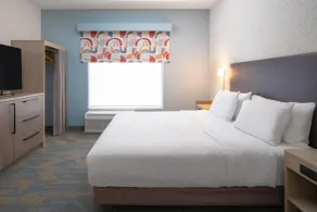 Tru By Hilton Spring Hill - Chambre