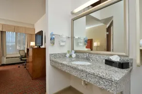 Holiday Inn Express Boston-Milford by IHG - Badeværelse