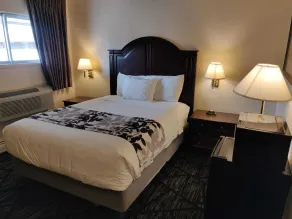 Skyline Motor Inn - Chambre