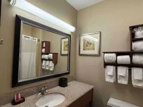 SureStay by Best Western Forsyth Decatur - Salle de bain