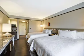 Hilton Garden Inn Detroit Troy - Chambre