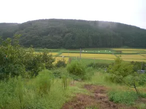 Kakinouen - Vista dalla camera