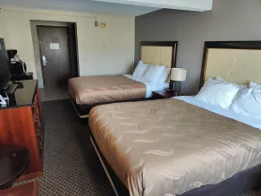Roosevelt Hotel - Chambre