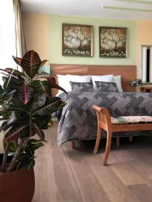 Hotel Jupiter - Chambre