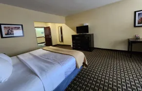 Days Inn & Suites by Wyndham Sam Houston Tollway - Chambre