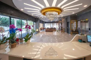 Seyithan Palace Spa Hotel - Réception